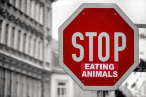 don't eat meat