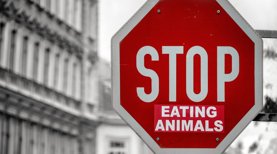 don't eat meat