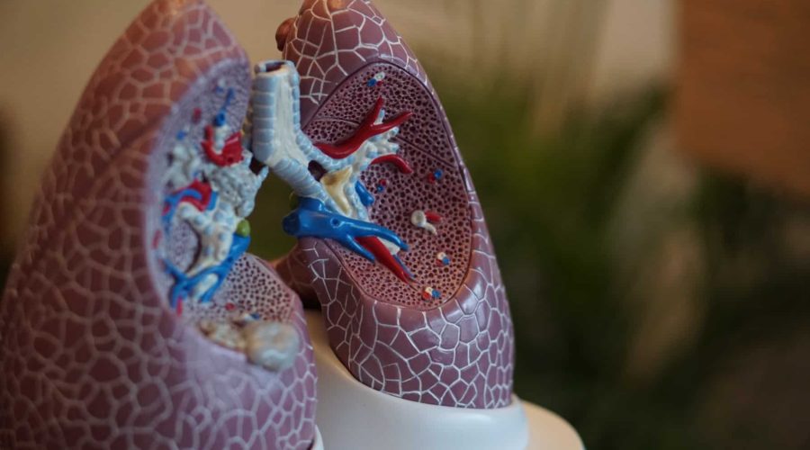 Keeping lungs safe