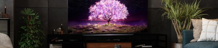 The 5 Best Televisions of 2021