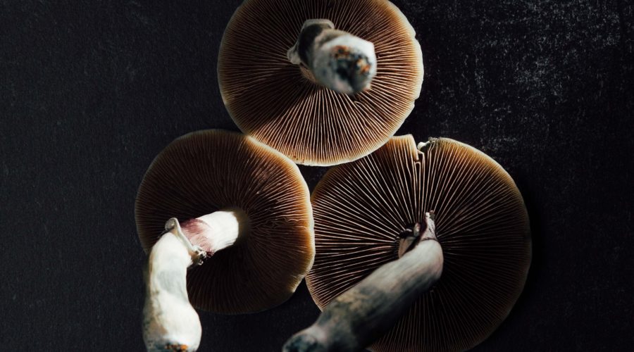 10 Amazing Reasons Why Psychedelics are Bad