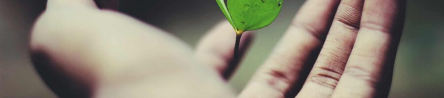 How Adversity Shapes Growth